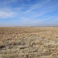 Sedgwick County CRP-Grass images 2