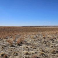 Sedgwick County CRP-Grass images 4