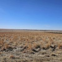 Sedgwick County CRP-Grass images 5