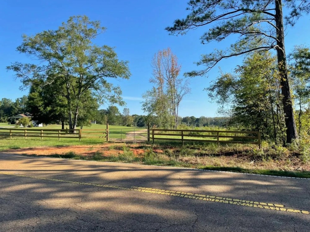 46 Acres in Winston County MS featured image