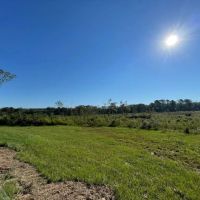 46 Acres in Winston County MS images 3