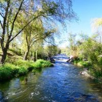 Renegade Ranch images 5