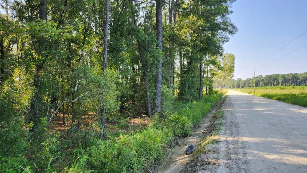 2 - Acre Residential Land in Camden County featured image