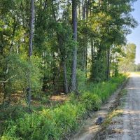 2 - Acre Residential Land in Camden County