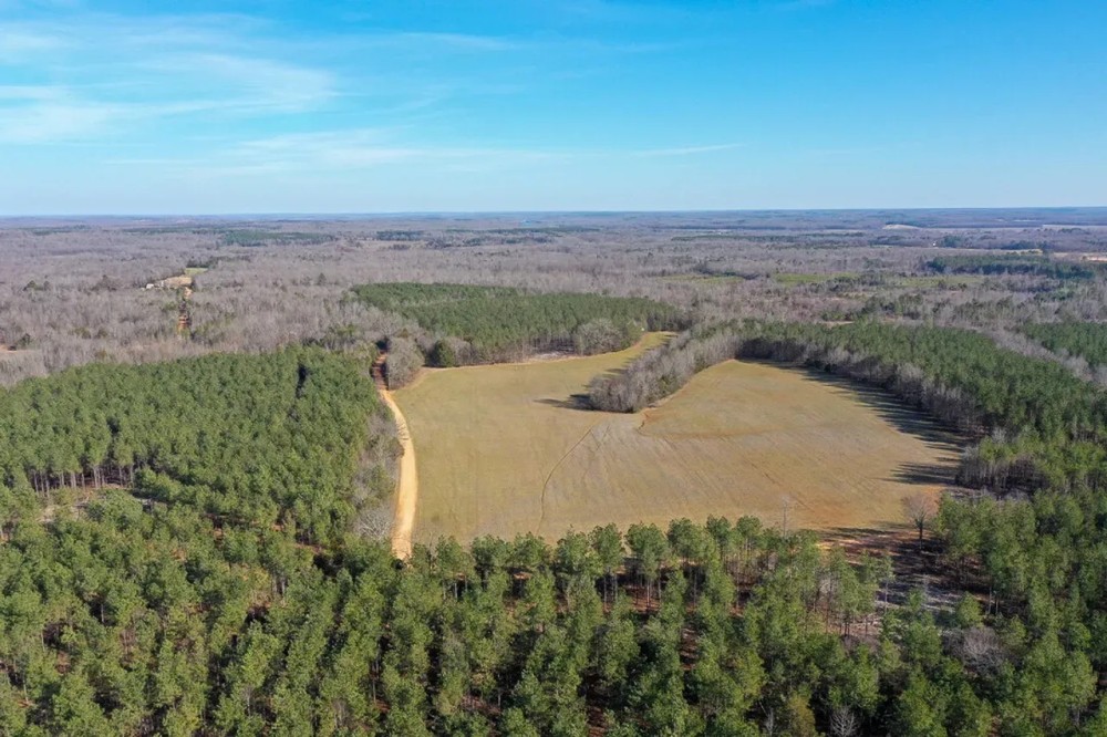 215 Acres to Hunt or Homestead in Hardin County TN featured image