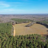 215 Acres to Hunt or Homestead in Hardin County TN