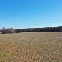 215 Acres to Hunt or Homestead in Hardin County TN images 3