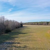 215 Acres to Hunt or Homestead in Hardin County TN images 4