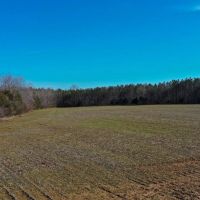 215 Acres to Hunt or Homestead in Hardin County TN images 5