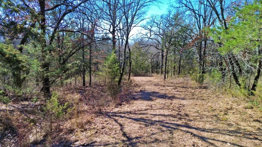 Wooded land for sale north of Muenster TX featured image