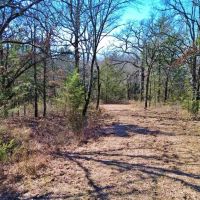 Wooded land for sale north of Muenster TX