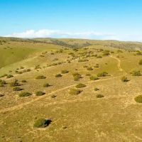 Freestar Hunting Properties images 5