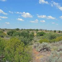 159 Acre Oklahoma Hunting Land and Farm in Grandfield OK