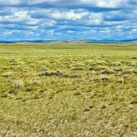 Medicine Bow Ranch