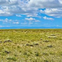 Medicine Bow Ranch images 4
