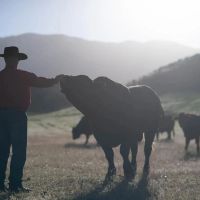 Birch Creek Ranch images 2