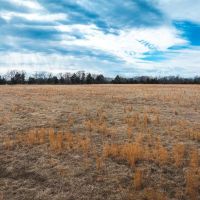 Bailey Branch 200 images 3