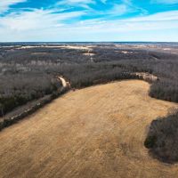 Bailey Branch 200 images 5