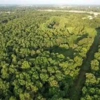 76 Acres in Leflore County in Greenwood MS images 3