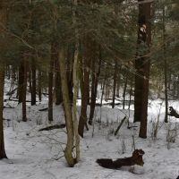 Hosmer Run images 2