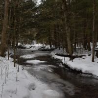 Hosmer Run images 3