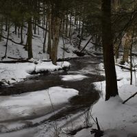 Hosmer Run images 4