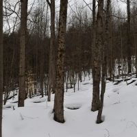 Hosmer Run images 5