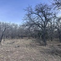 New Property 40 - Ac Callahan County