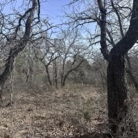 New Property 40 - Ac Callahan County images 2