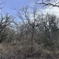 New Property 40 - Ac Callahan County images 4