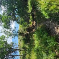 Buffalo Coulee Ranch images 3