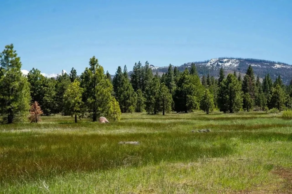Red River Mill Site Westwood featured image