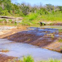 2937 Langes Mill Road - 90 Acres images 3