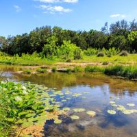 2937 Langes Mill Road - 90 Acres images 4