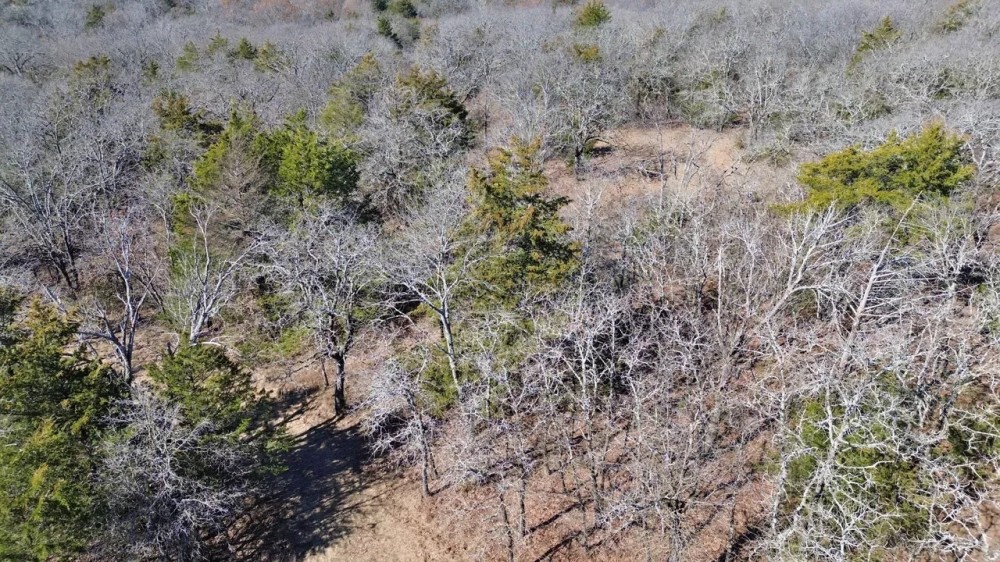 28.48 wooded acres in the North Texas Hill Country featured image