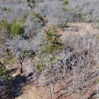 28.48 wooded acres in the North Texas Hill Country