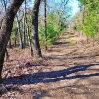 28.48 wooded acres in the North Texas Hill Country images 5