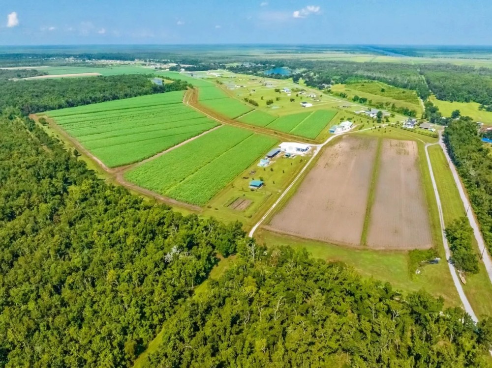RIDGELAND FARMS - 1 800 Acres in Terrebonne Parish LA featured image