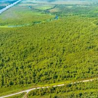 RIDGELAND FARMS - 1 800 Acres in Terrebonne Parish LA images 3