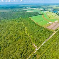 RIDGELAND FARMS - 1 800 Acres in Terrebonne Parish LA images 4