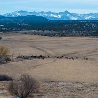 Horsefly Ranch Montrose Colorado images 2