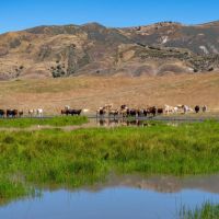 Powderhorn Ranch images 3