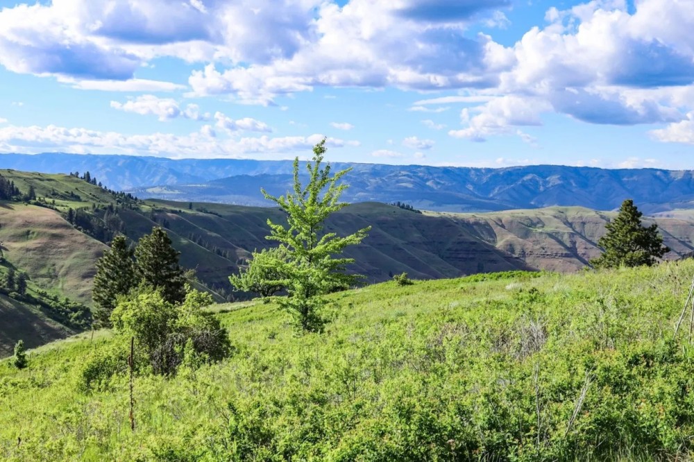 Applegate Canyon Ranch featured image