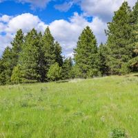 Applegate Canyon Ranch images 2