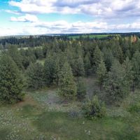 Applegate Canyon Ranch images 3