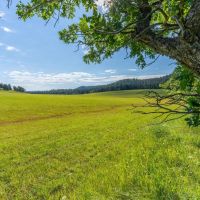 Rocking H Ranch - Hulett Wyoming images 2