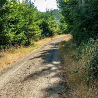 Upstream Timber and Cattle Ranch images 5