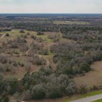 74 Acres in Milam County