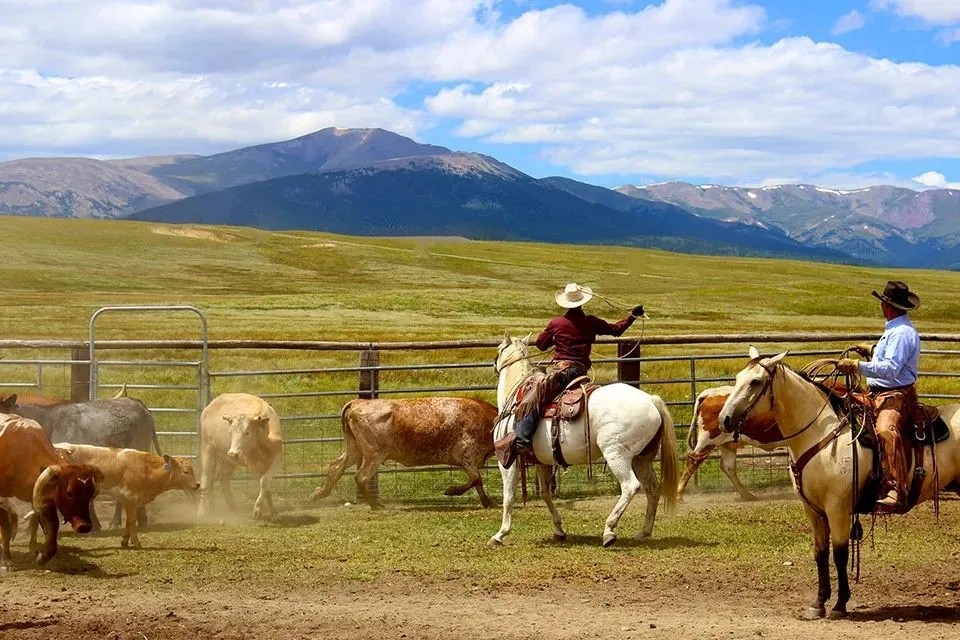 Reinecker Ridge Ranch featured image