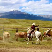 Reinecker Ridge Ranch